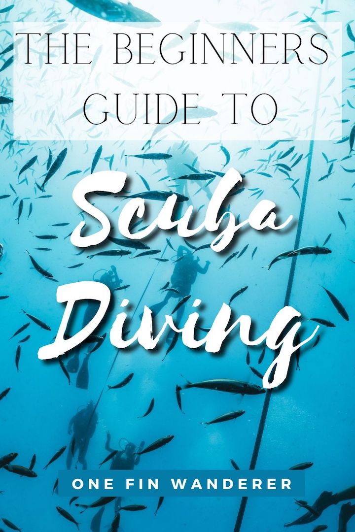 The Beginners Guide To Scuba Diving - One Fin Wanderer